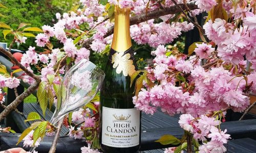 Copy-of-Toasting-Elizabethan-Cuvee-release-2022-spring-Cherry-Blossom-1